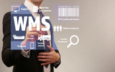 WMS (Warehouse Management System) : choisir le bon système pour votre entrepôt