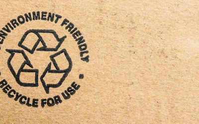 Eco emballage : le nouvel atout innovant et responsable pour votre logistique !