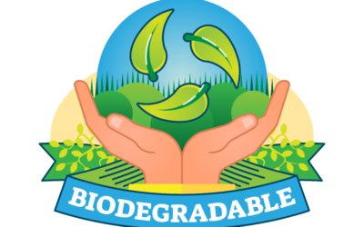 Emballage biodégradable logistique : vers une supply chain écoresponsable