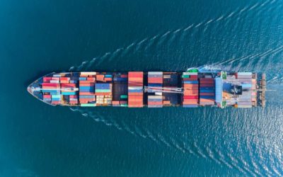 Xeneta : outil indispensable pour votre fonction Transport !