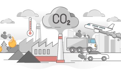 Décarbonation de la Supply Chain ? Nos pistes de réflexion