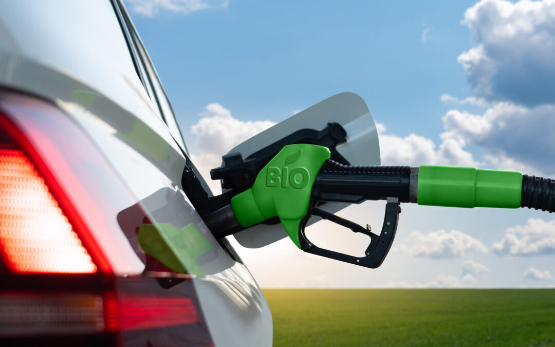 Biocarburants : une énergie bénéfique pour la logistique